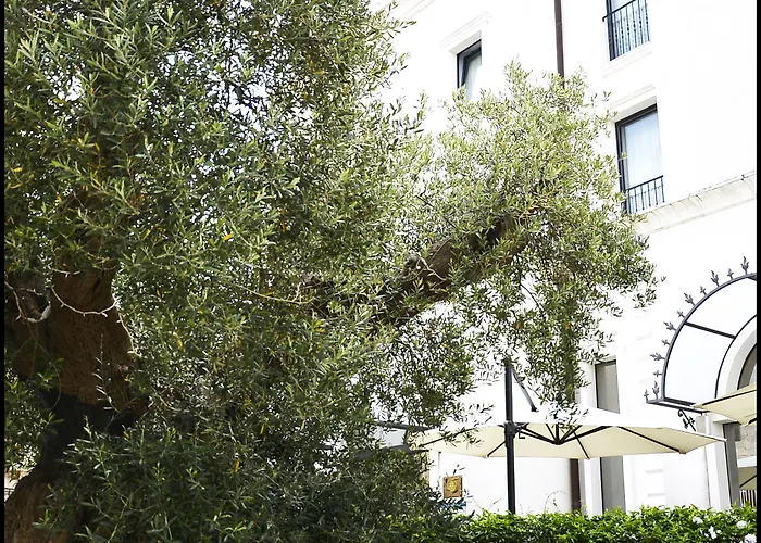 Hotel Ostuni Palace - Hotel Ristorante & Spa Ostuni