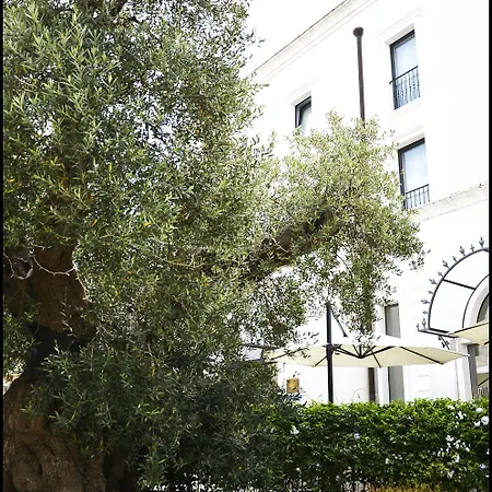 Отель Palace - Bistrot & Остуни