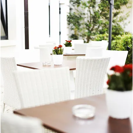 Palace - Bistrot & 4*