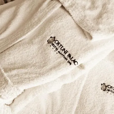 Palace - Bistrot & 奥斯图尼